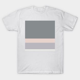 A beautiful transfusion of Very Light Pink, Grey, Gray (X11 Gray) and Lotion Pink stripes. T-Shirt